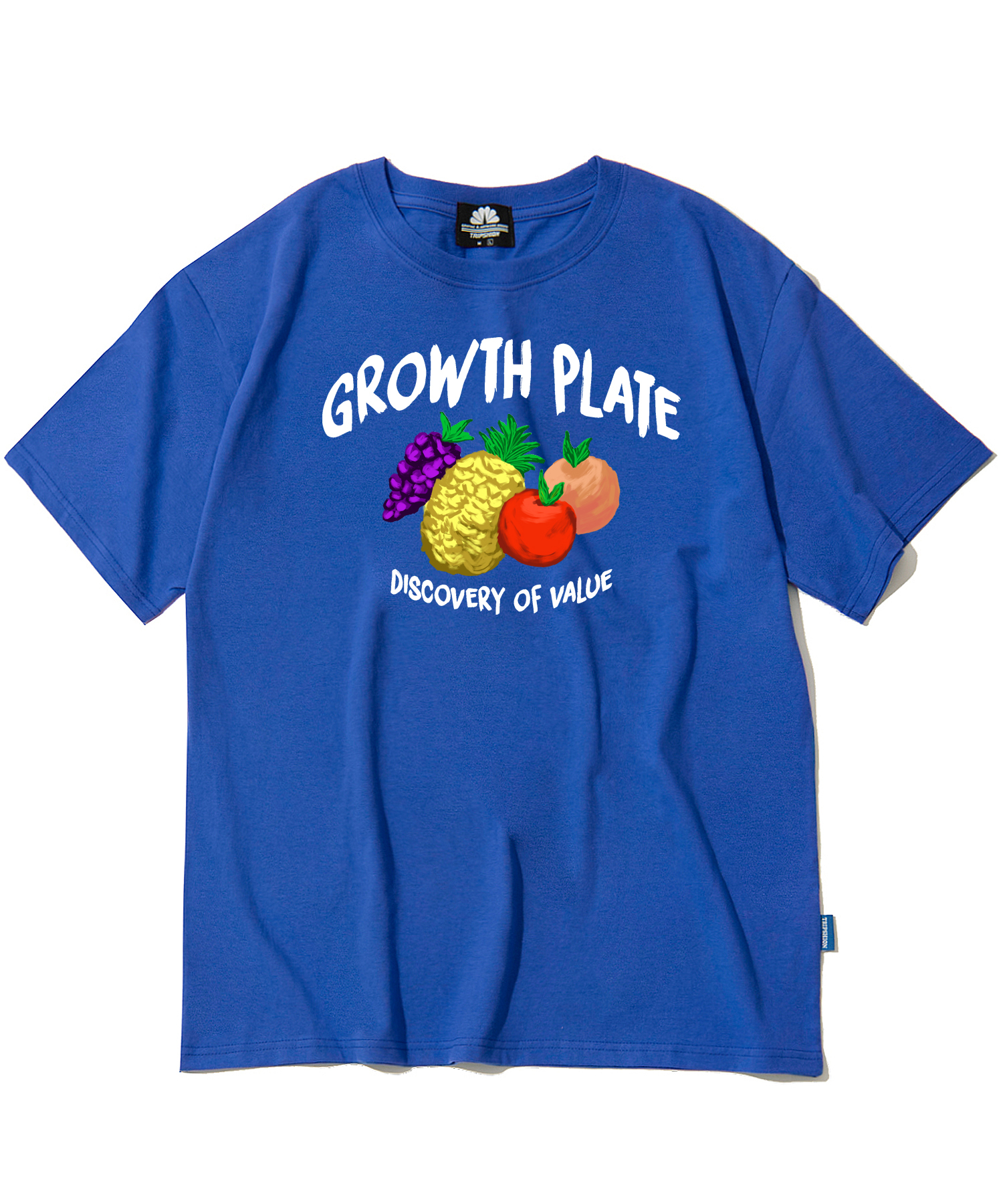 GROWTH PLATE FRUITS GRAPHIC T-SHIRTS - BLUE