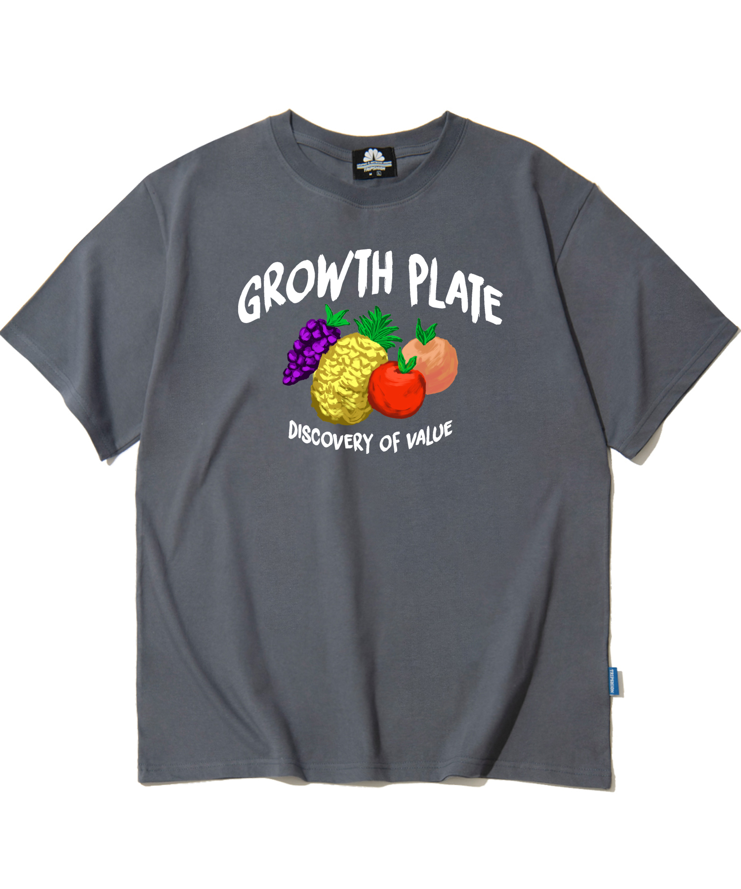GROWTH PLATE FRUITS GRAPHIC T-SHIRTS - GRAY
