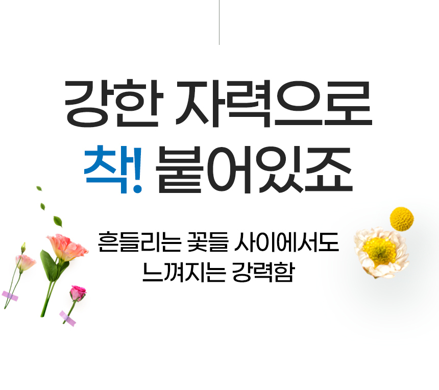 듀얼홈 듀터스 블루투스 무선이어폰 노이즈캔슬링 상세 이미지 27