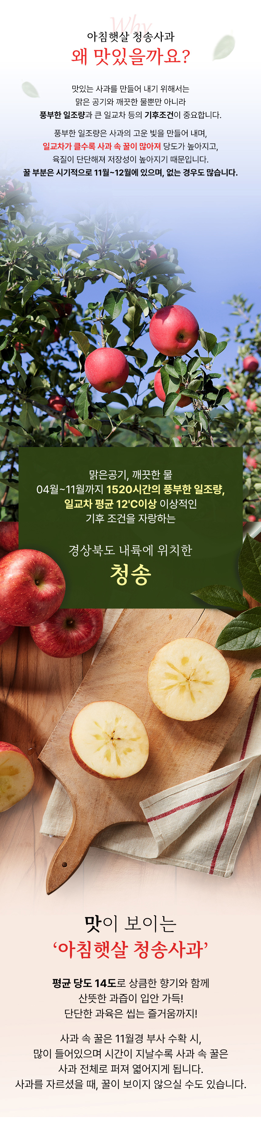 D_02.jpg