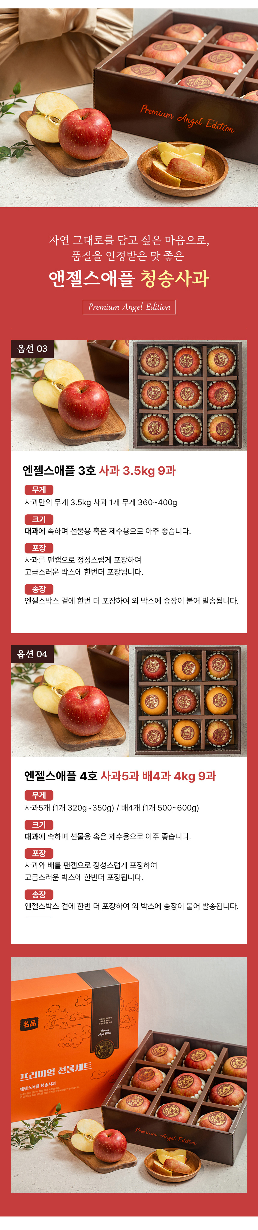 D_03.jpg