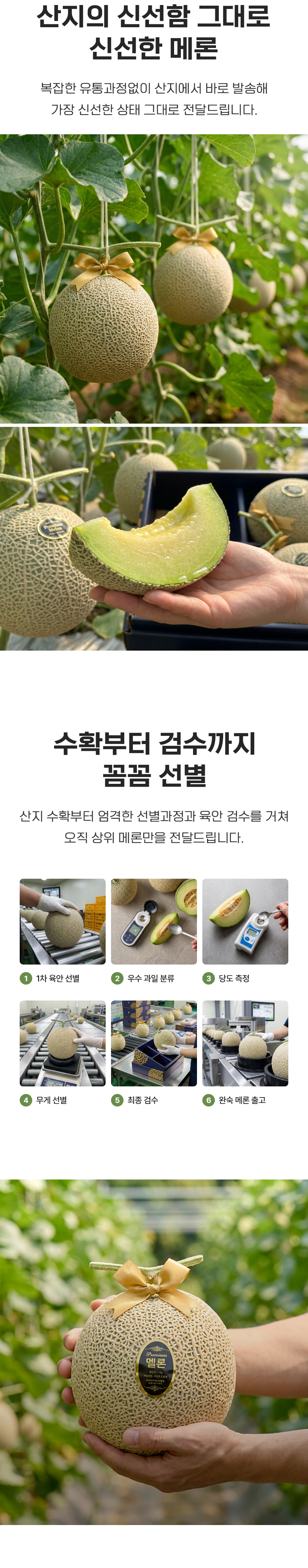 D_03.jpg
