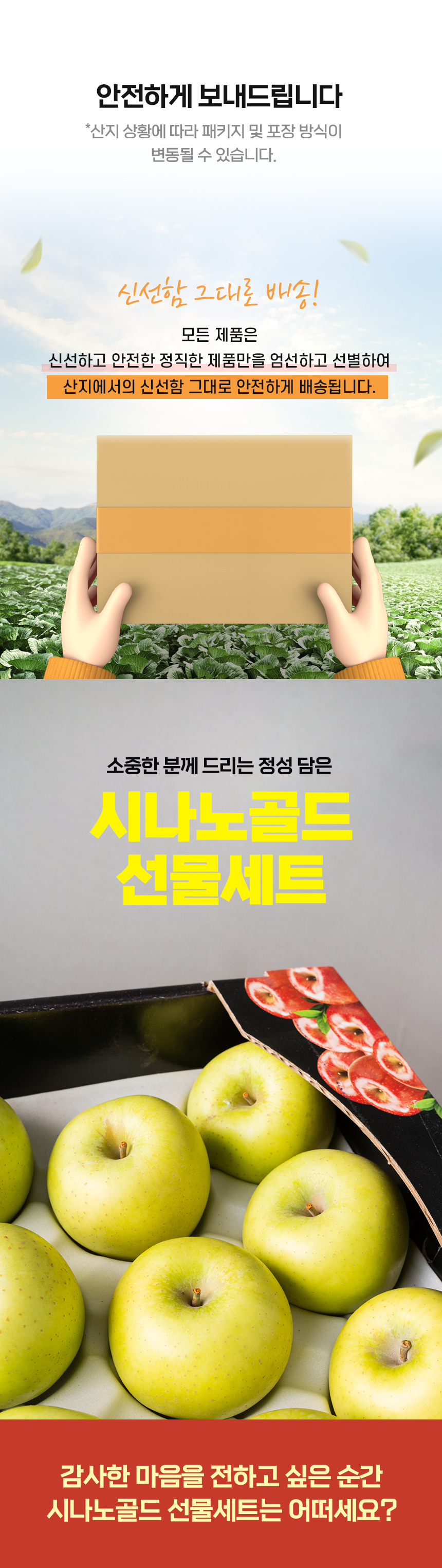 D_05.jpg