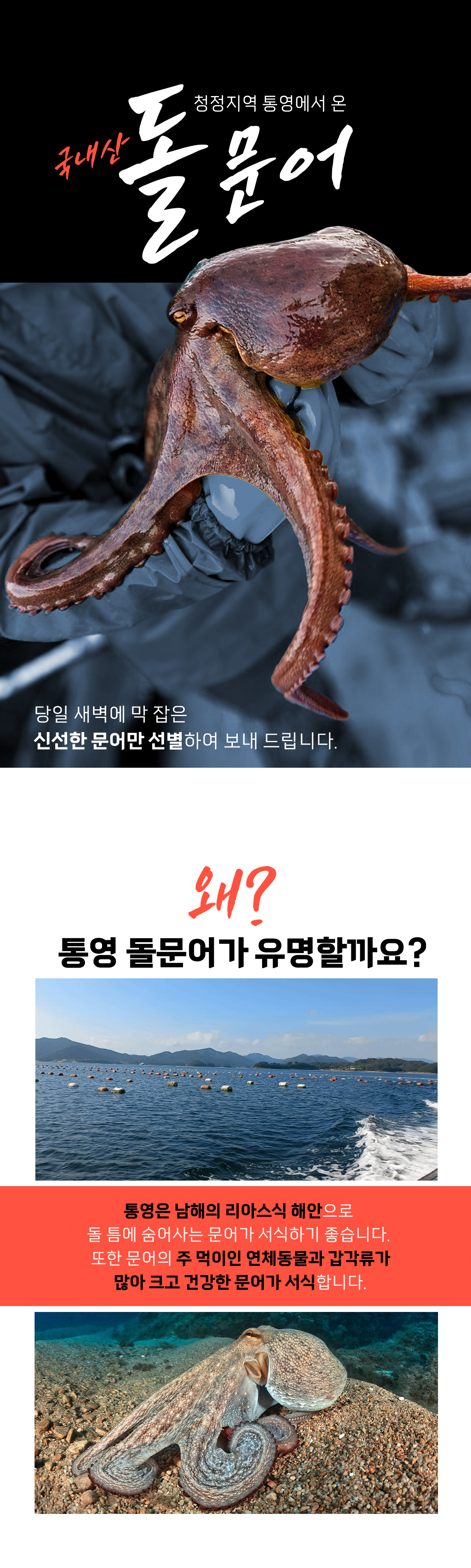D_1.jpg