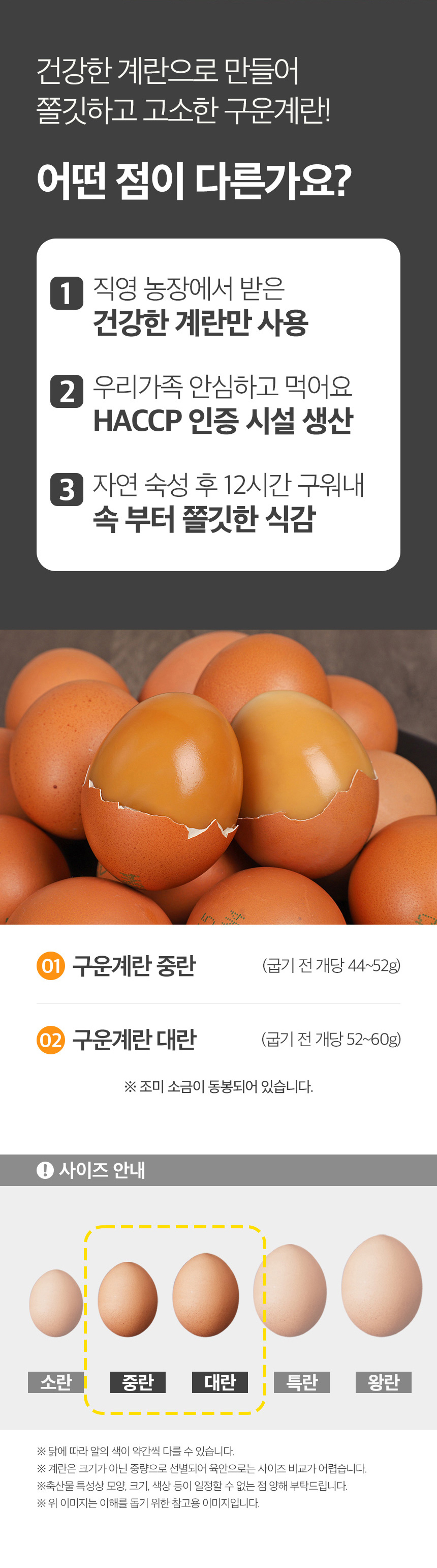 D_02.jpg