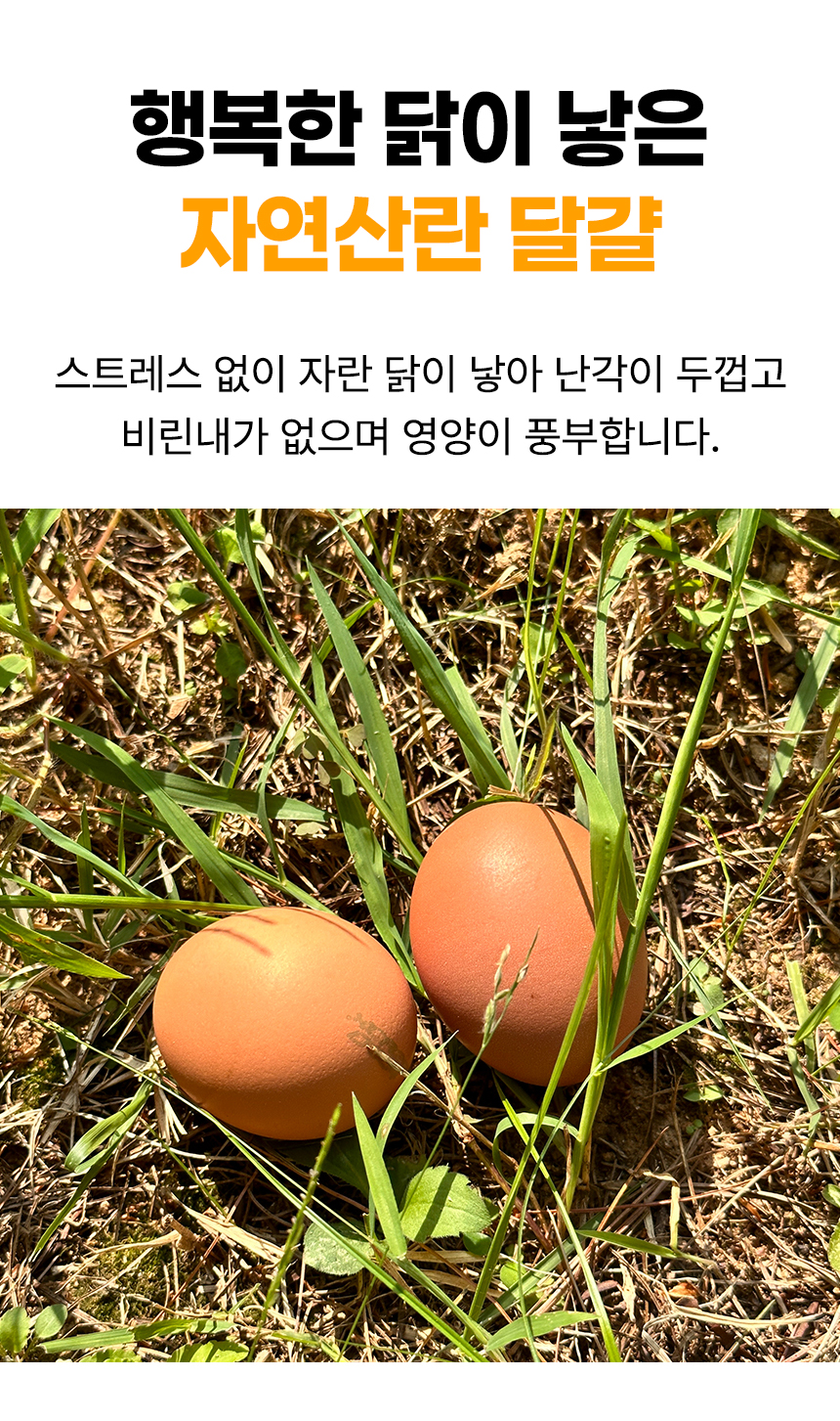 D_03.jpg