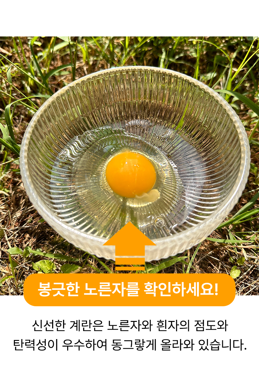D_04.jpg
