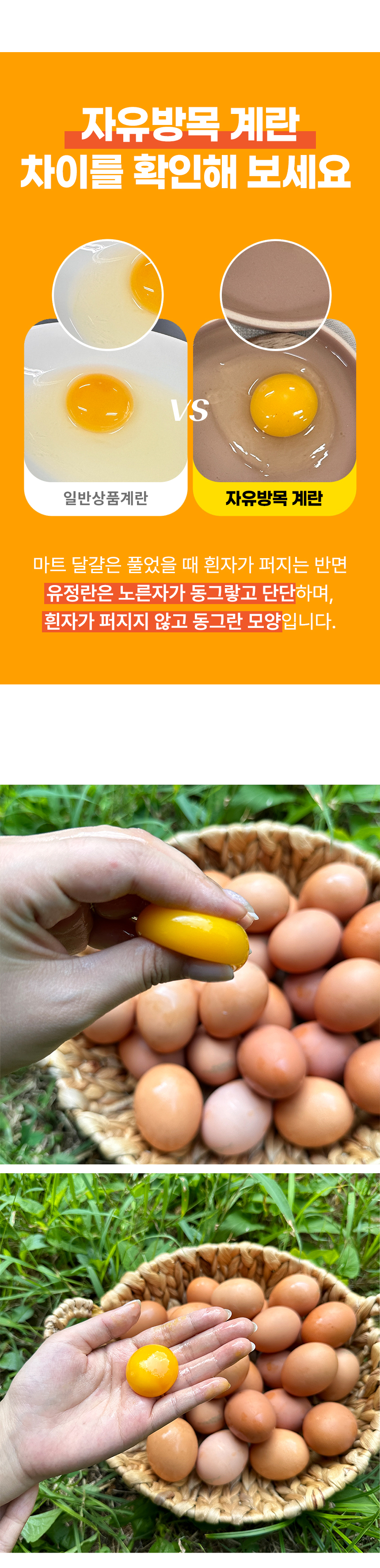 D_05.jpg