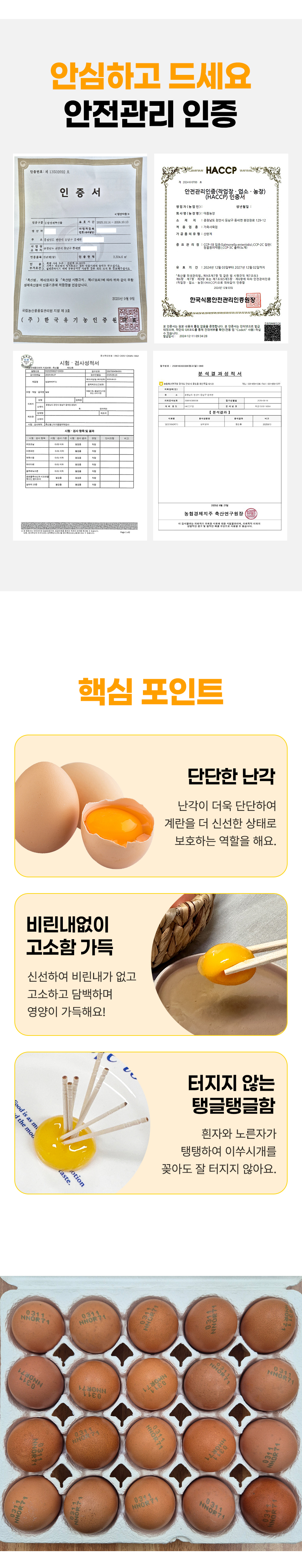 D_06.jpg