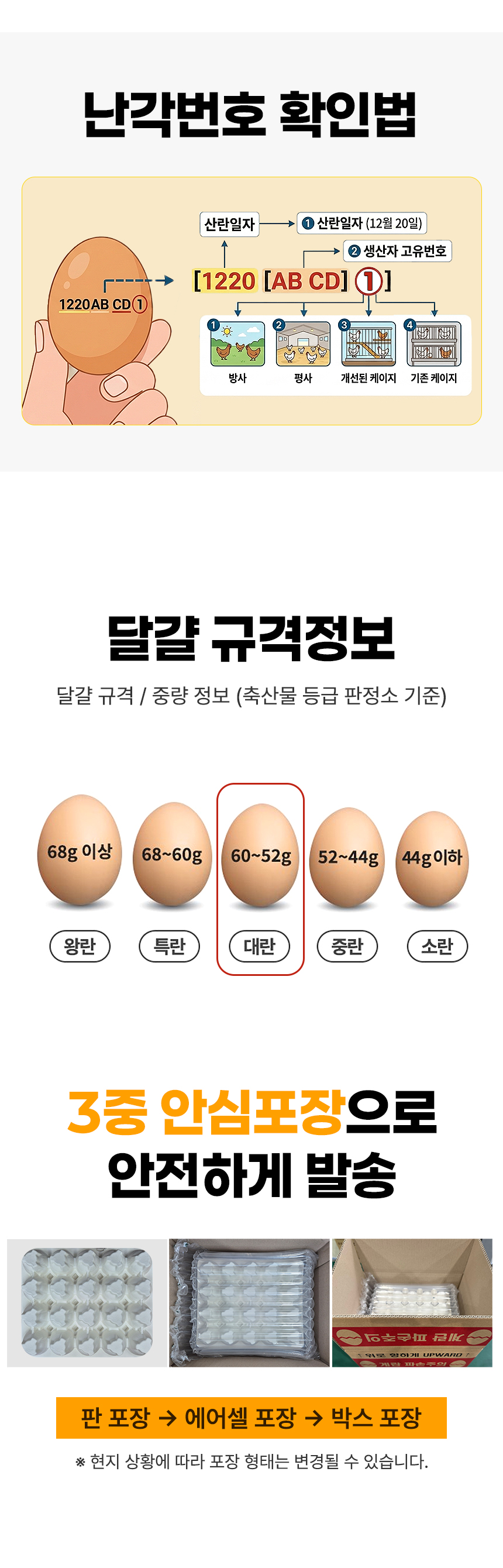 D_07.jpg