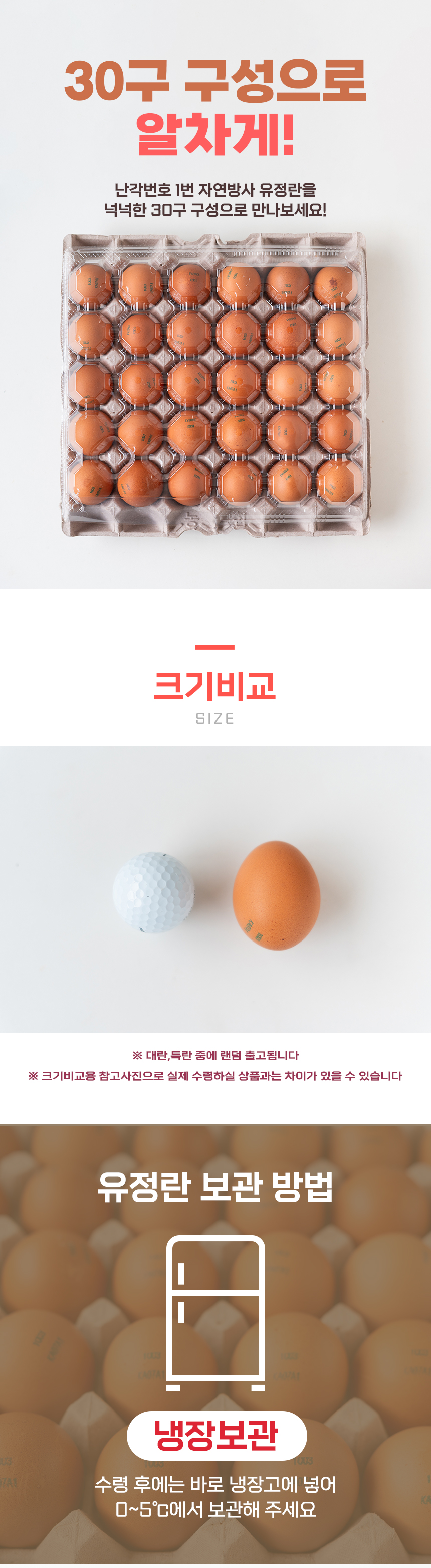 D_02.jpg