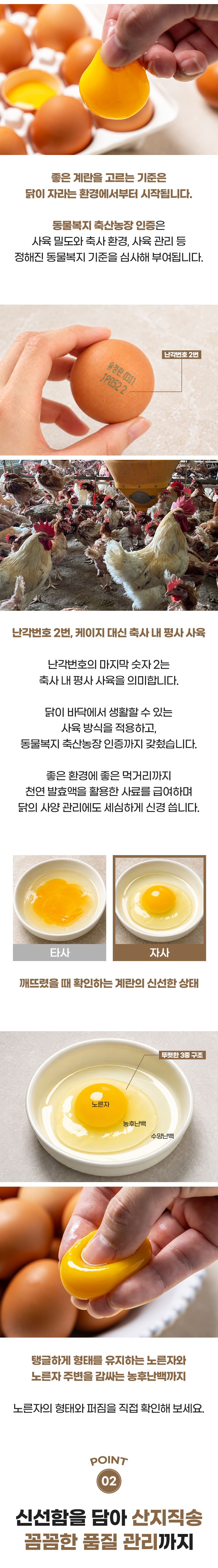 D_03.jpg