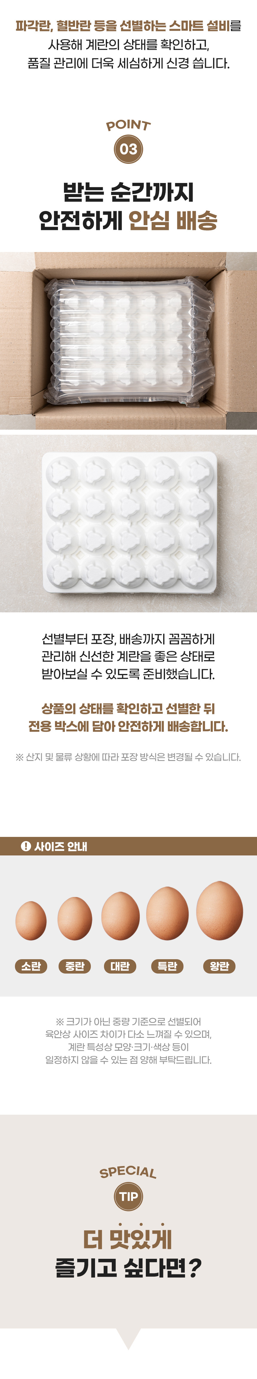 D_08.jpg
