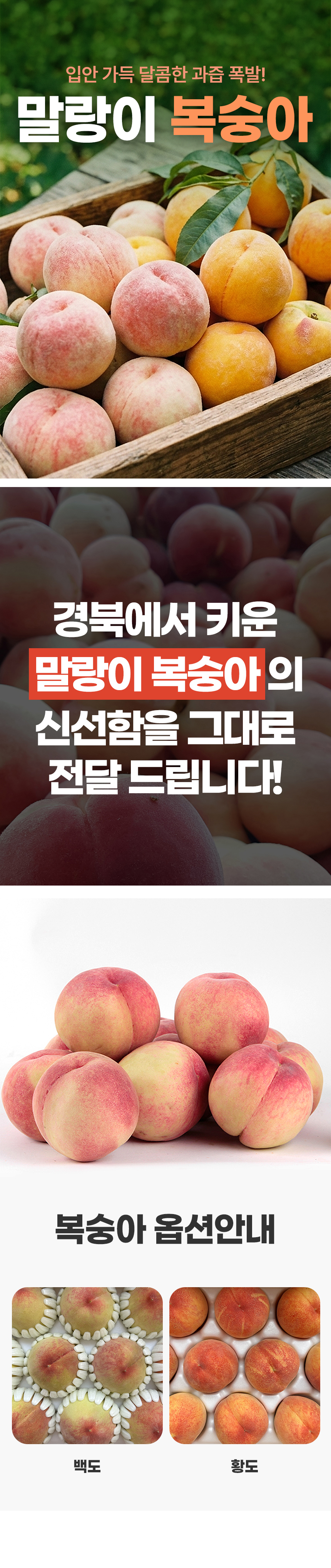 D_01.jpg