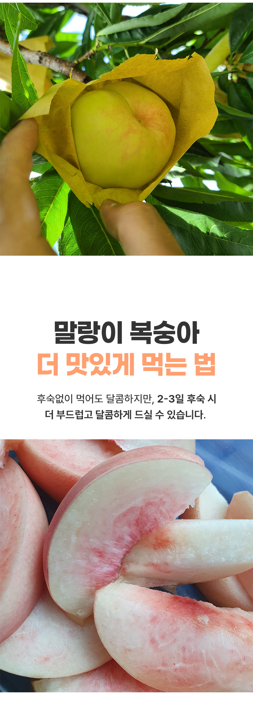 D_04.jpg