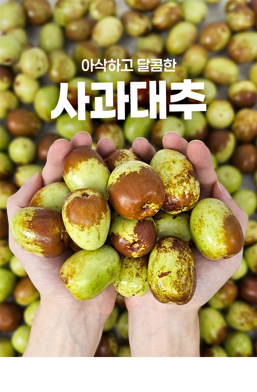 D_01.jpg