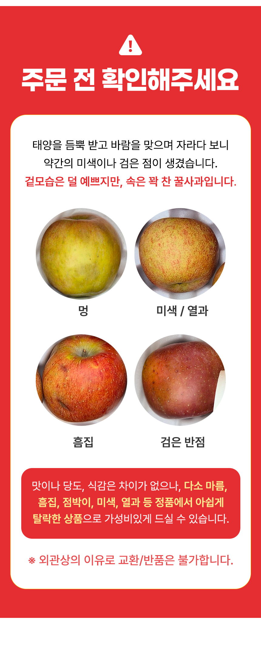 D_02.jpg