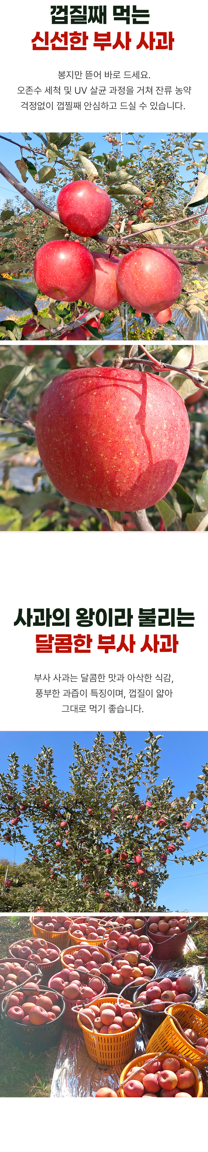D_03.jpg