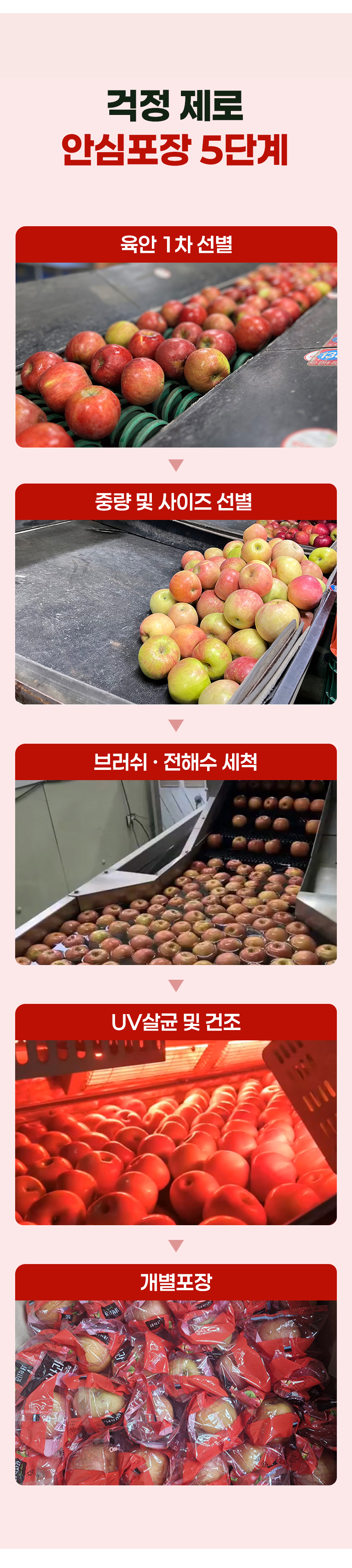 D_04.jpg