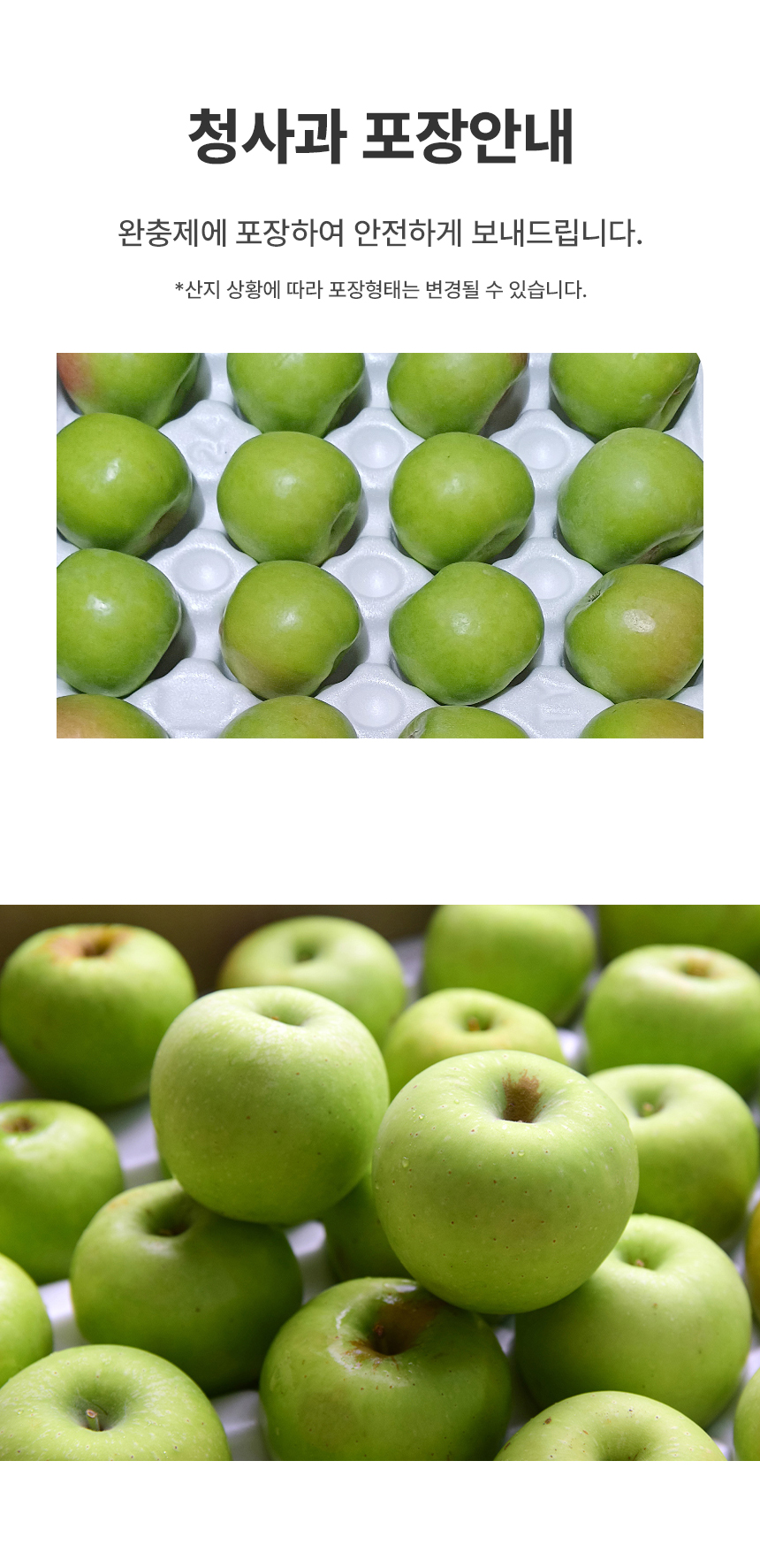 D_05.jpg
