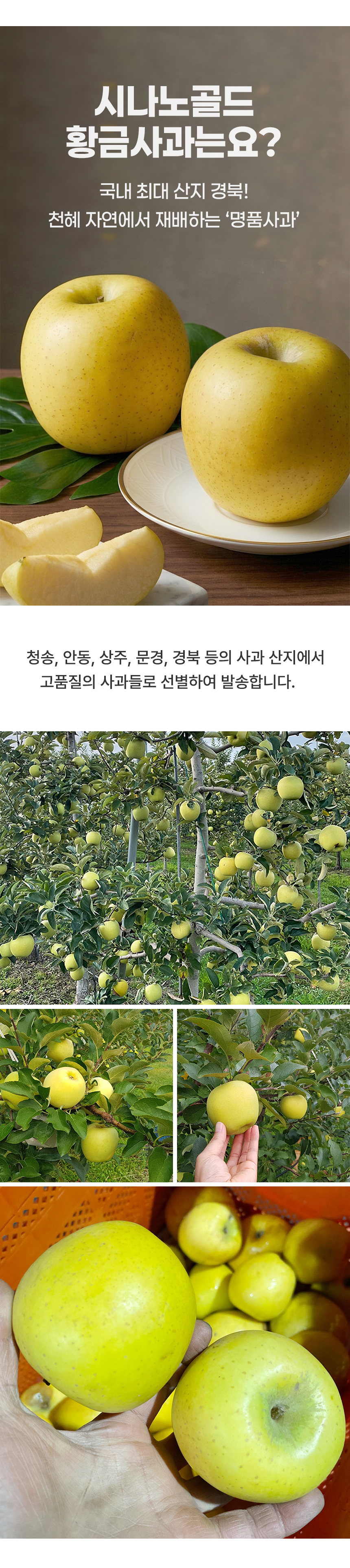 D_02.jpg