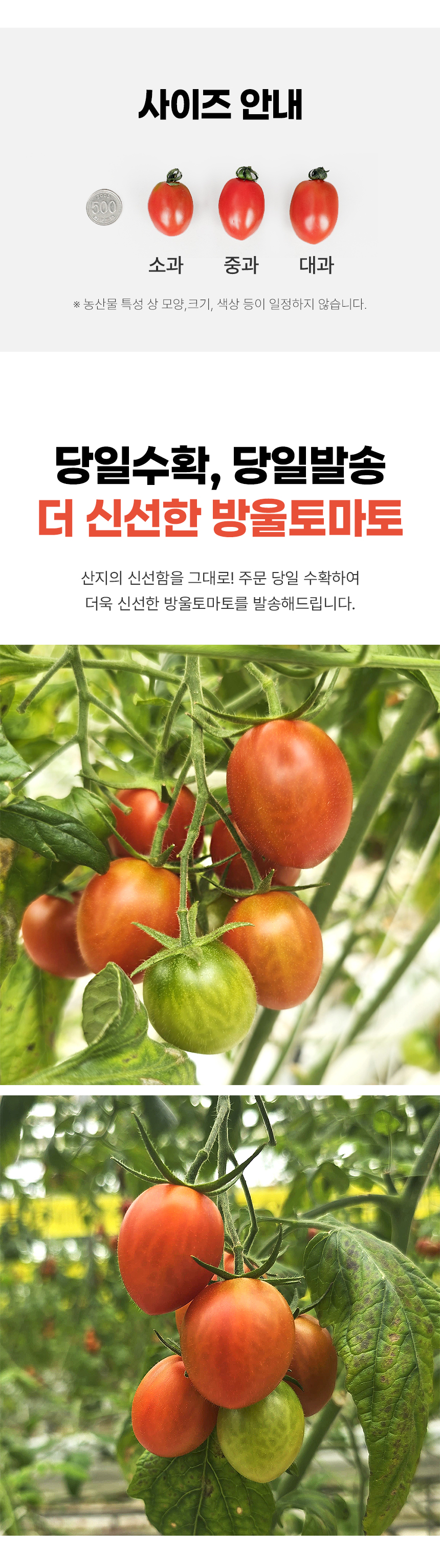 D_02.jpg