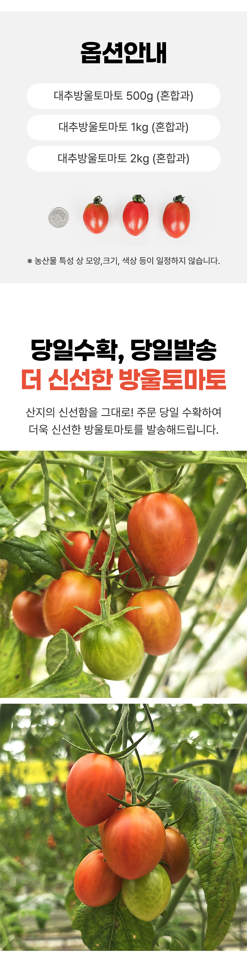 D_02.jpg