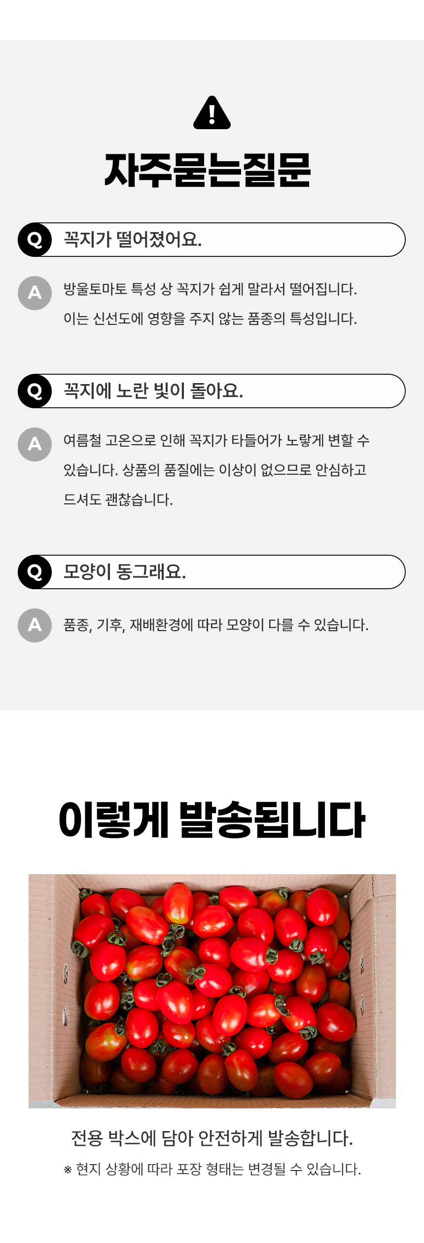 D_04.jpg