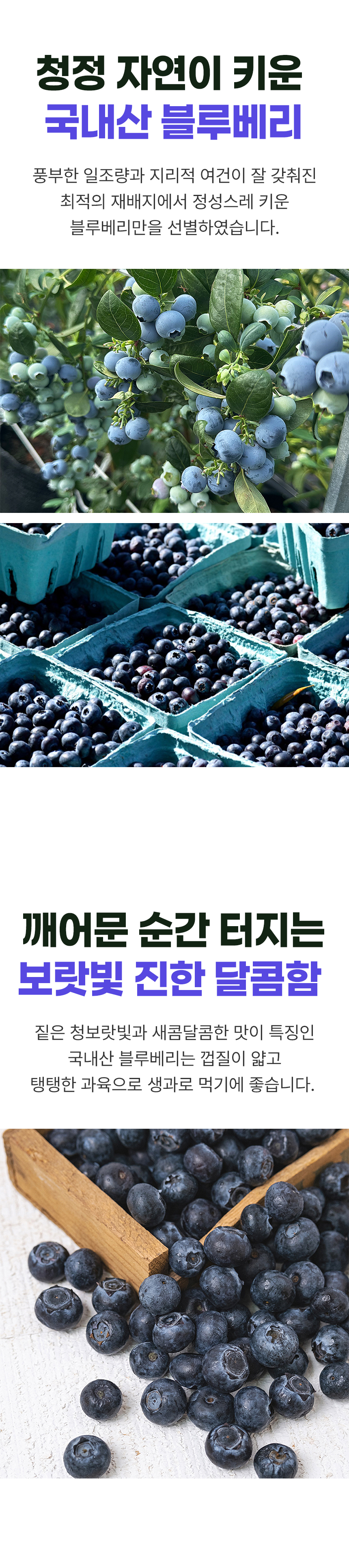 D_02.jpg