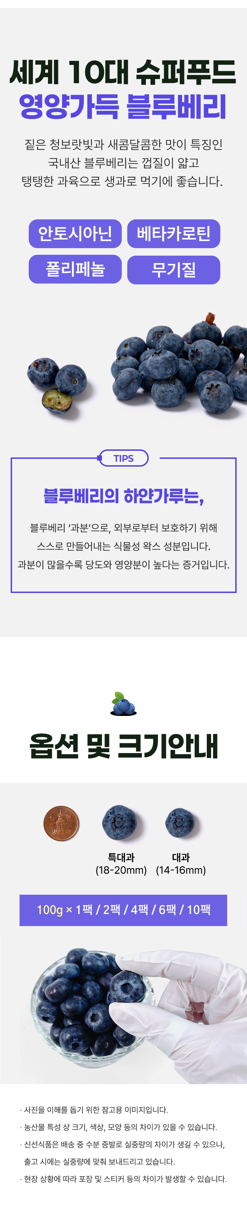 D_03.jpg