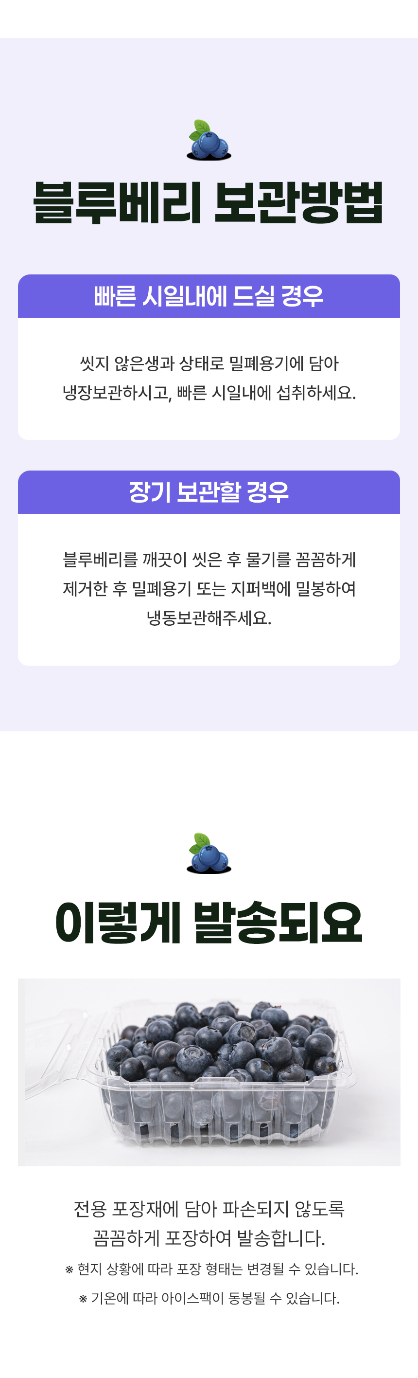 D_04.jpg