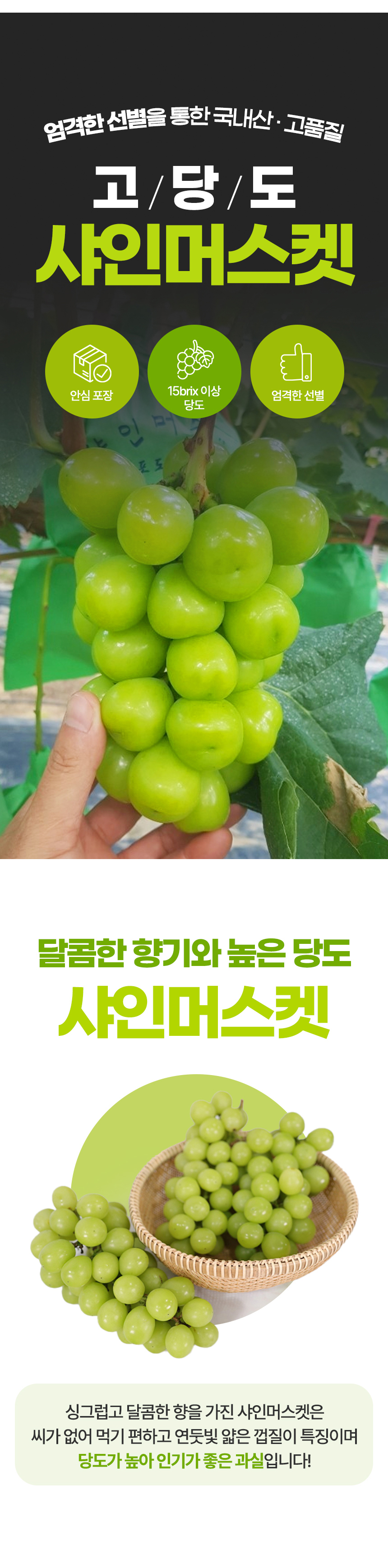 D_01.jpg