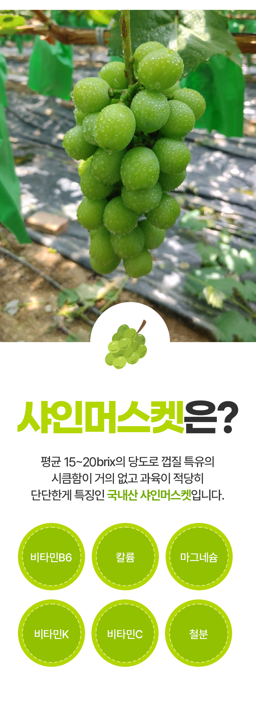 D_02.jpg