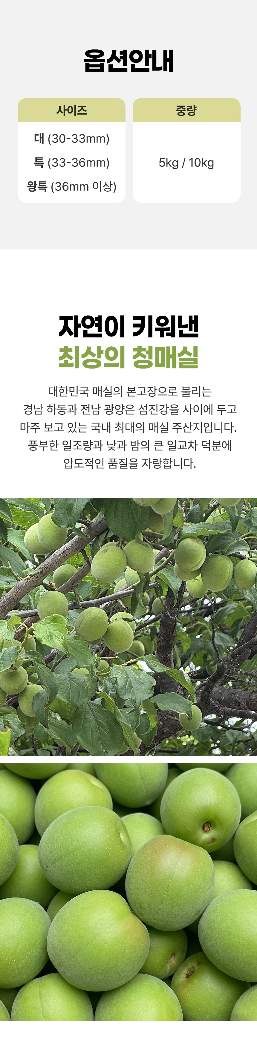 D_02.jpg