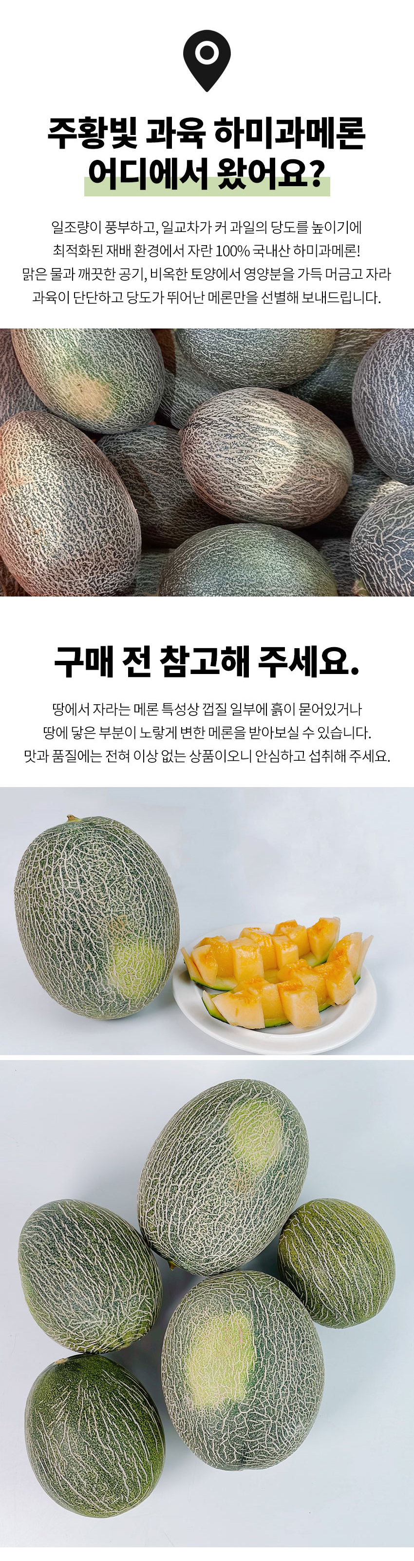D_02.jpg