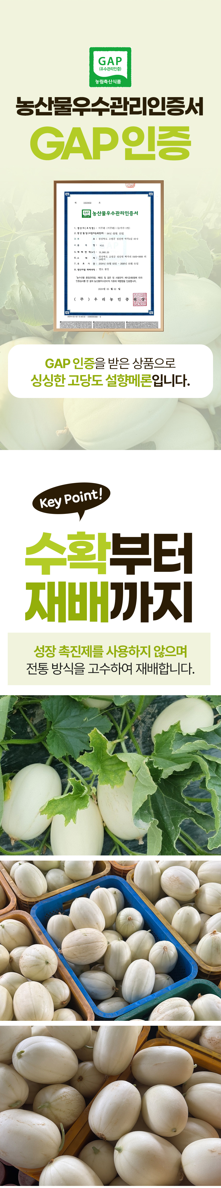D_03.jpg