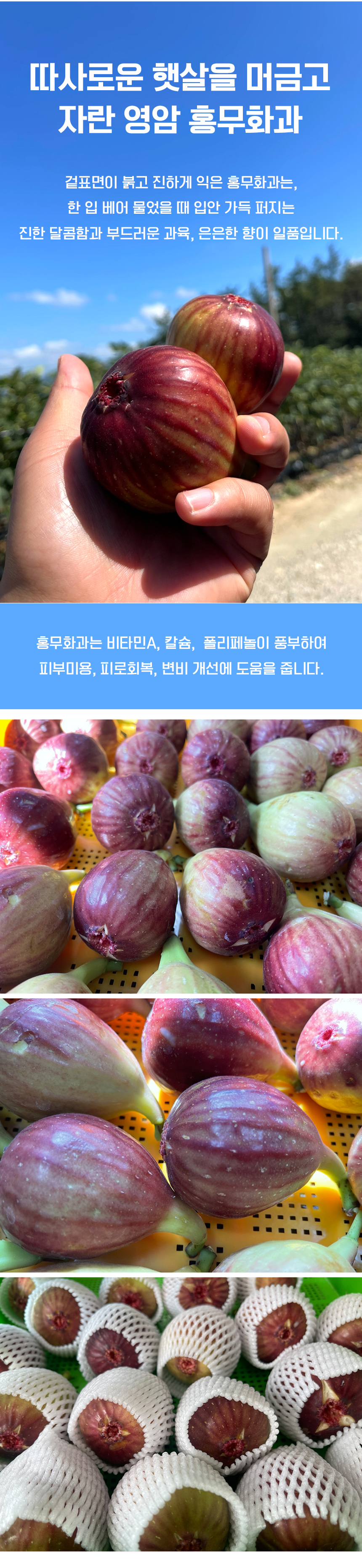 D_02.jpg