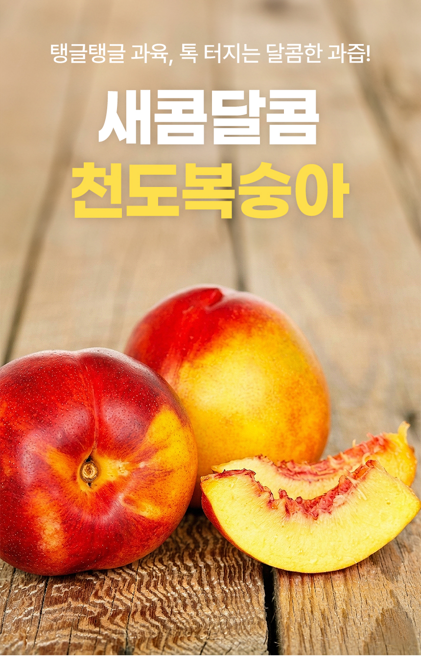 D_01.jpg