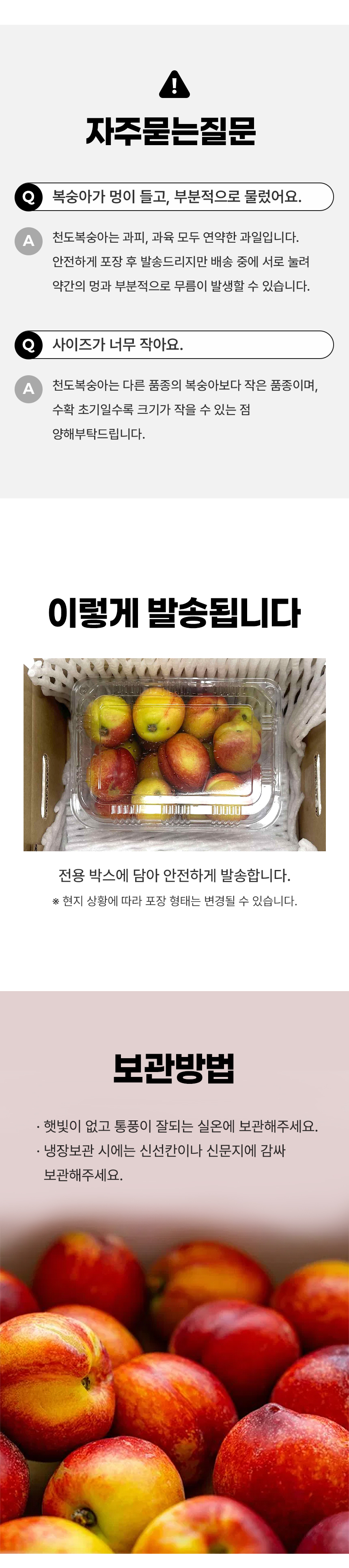 D_05.jpg