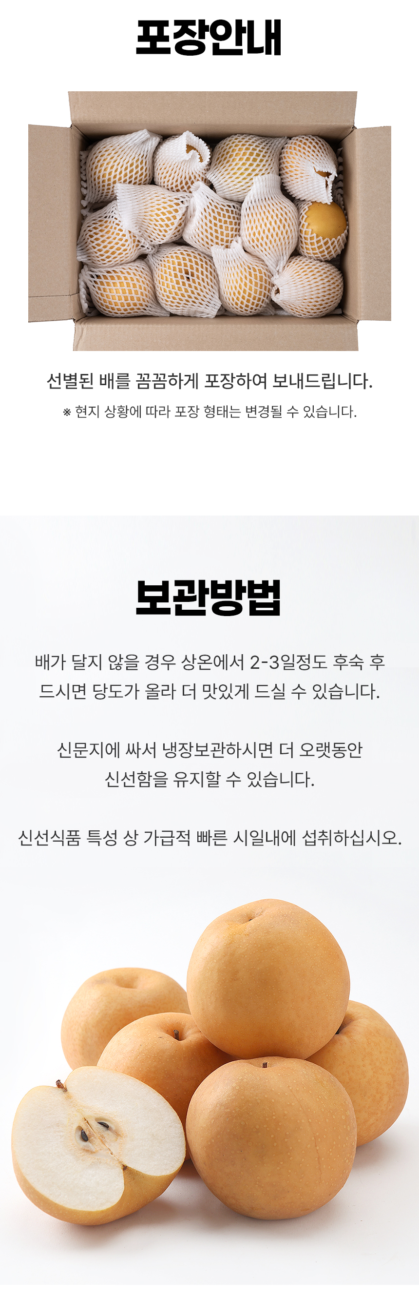 D_05.jpg