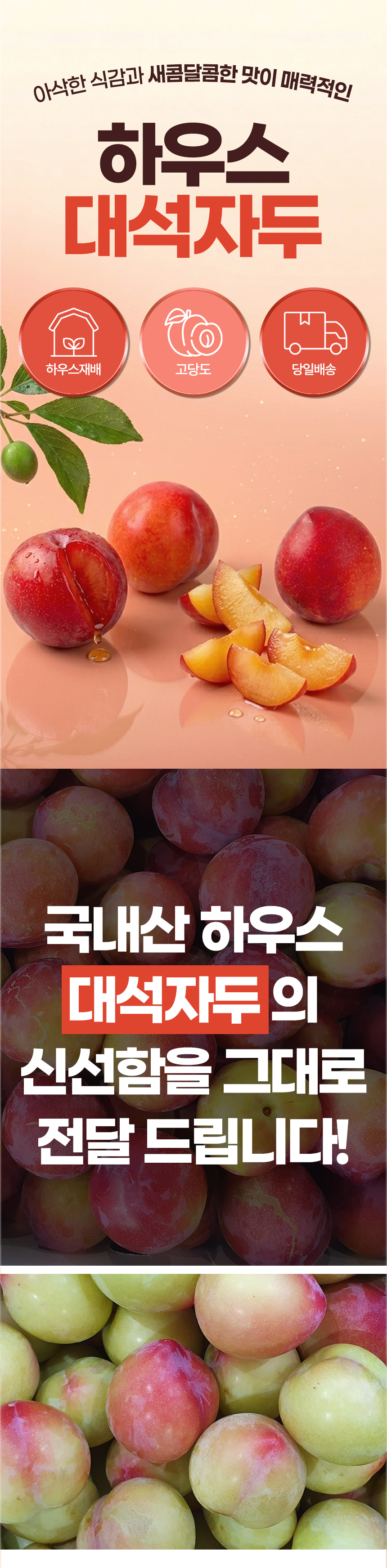 D_01.jpg