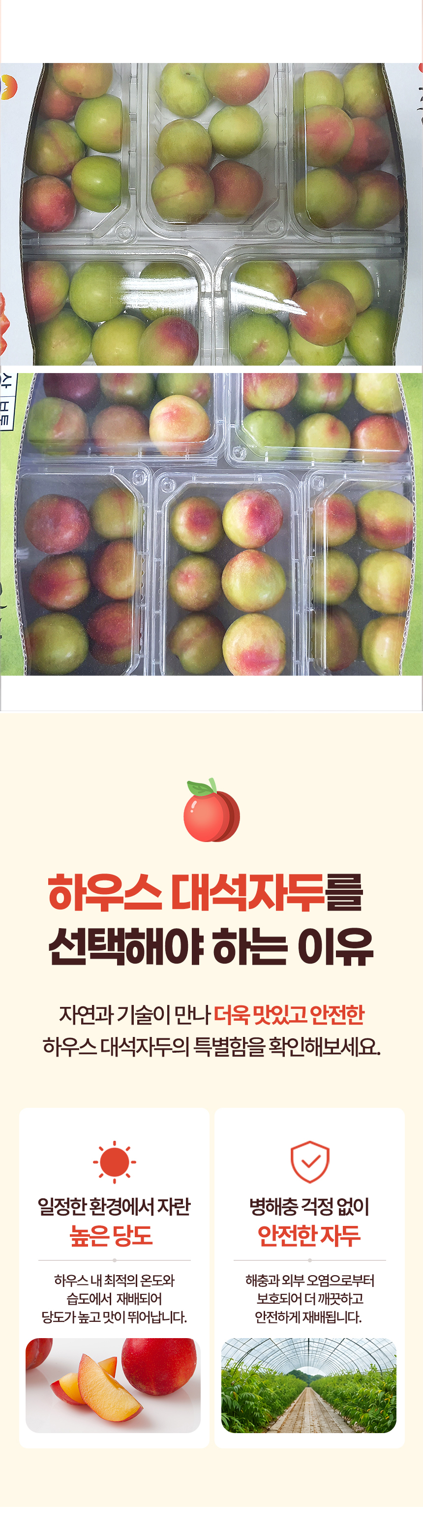 D_02.jpg