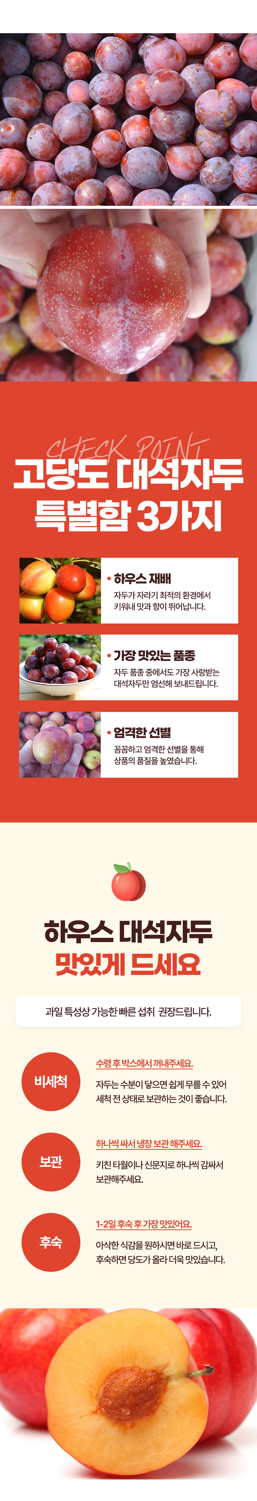 D_04.jpg