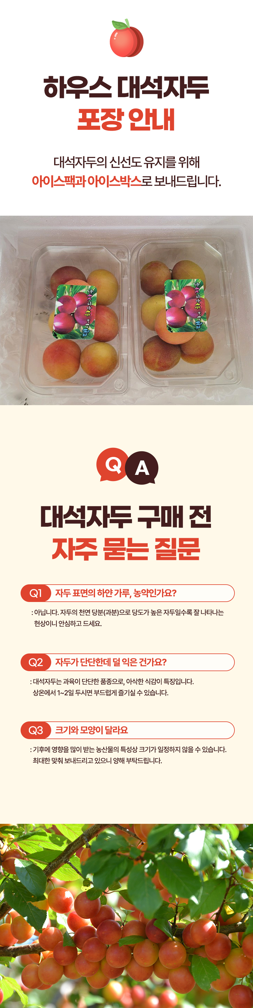 D_05.jpg
