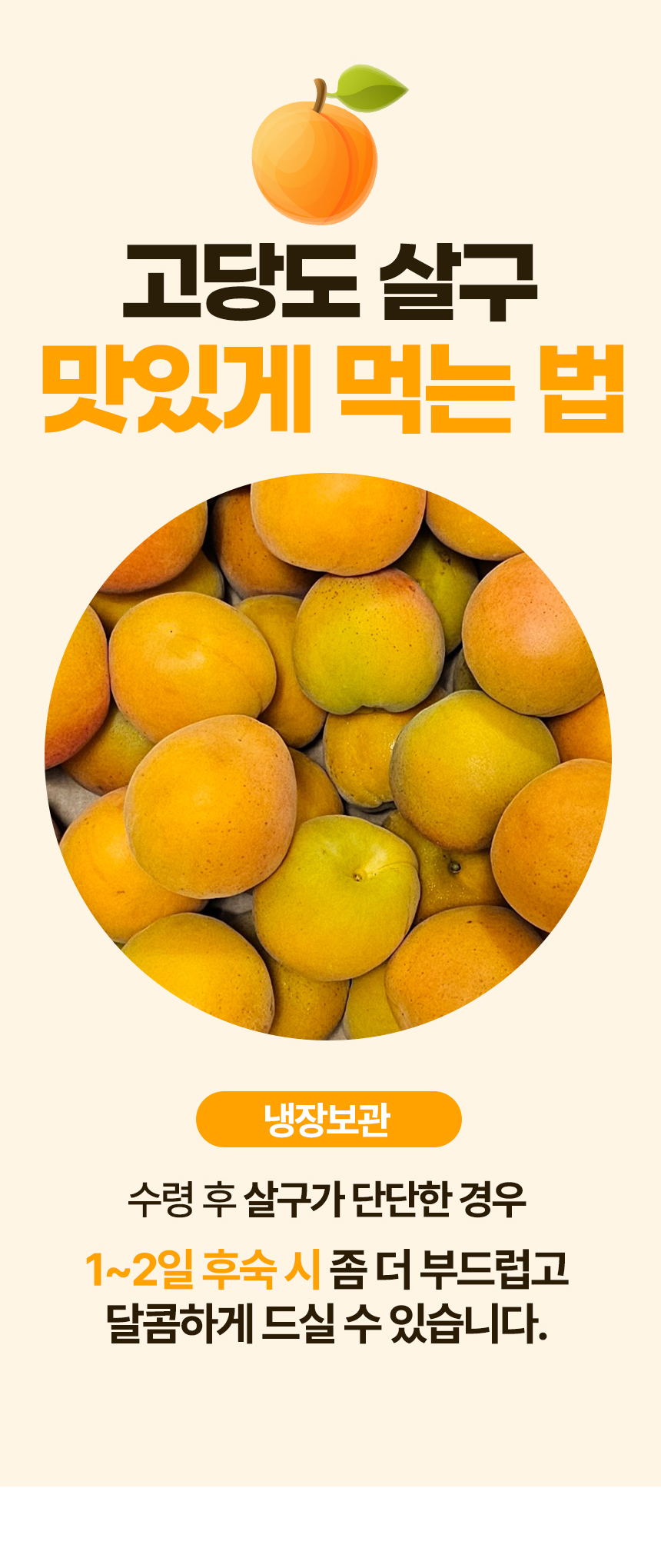D_4.jpg
