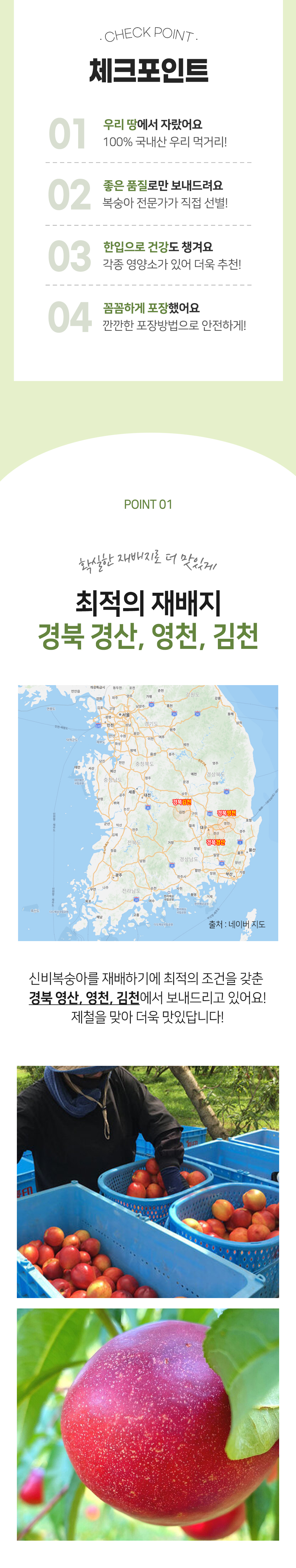 D_2.jpg