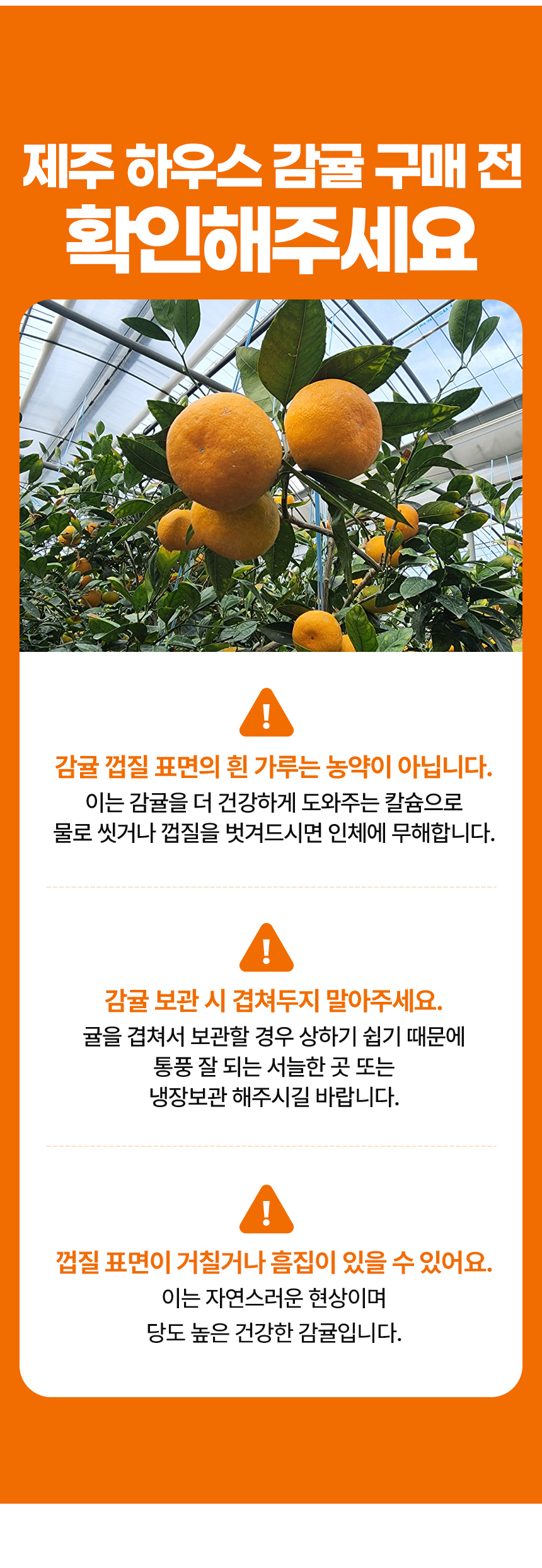 D_06.jpg