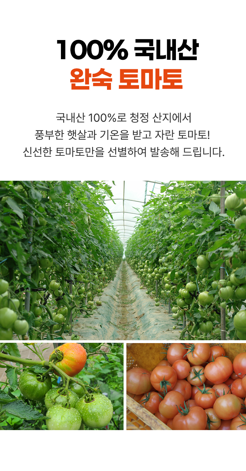 D_02.jpg