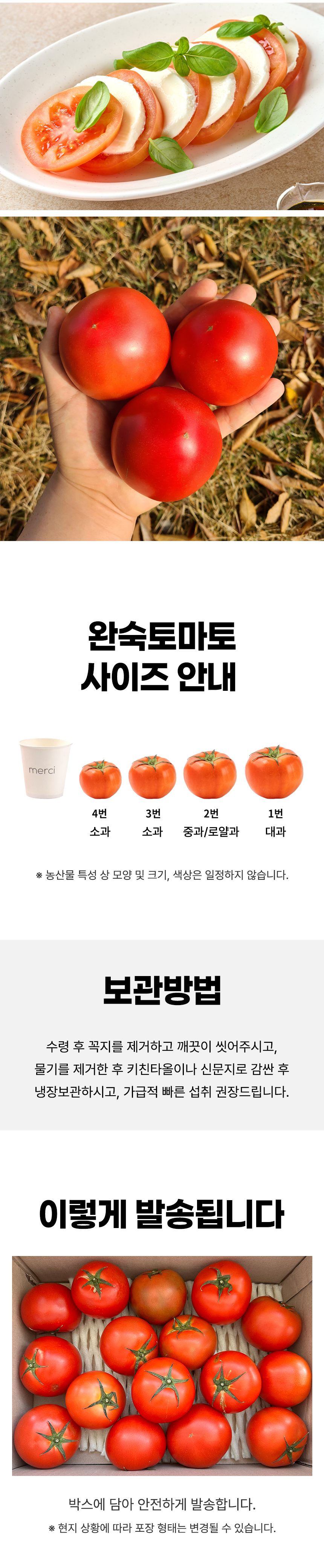 D_04.jpg