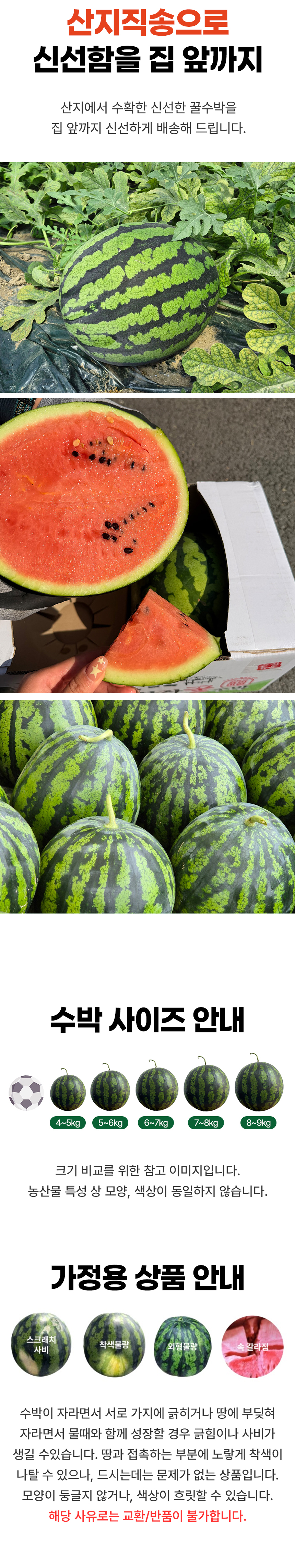 D_04.jpg